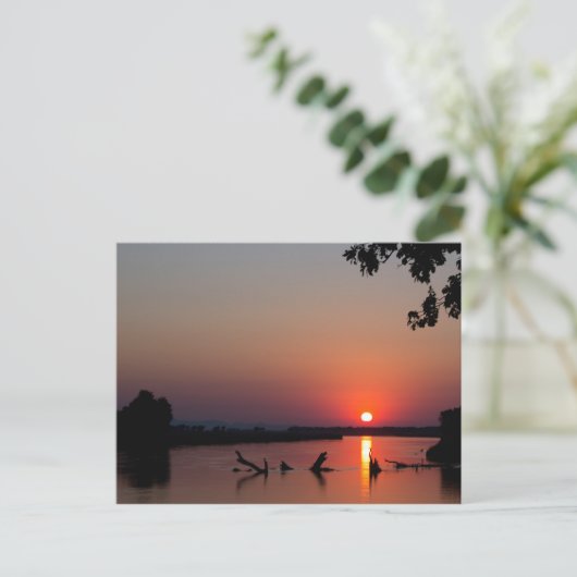 ザンベシ川のサンライズ ポストカード (スタンド正面)