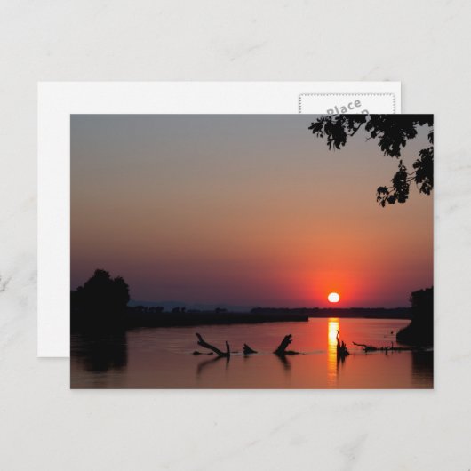 ザンベシ川のサンライズ ポストカード (正面/裏面)