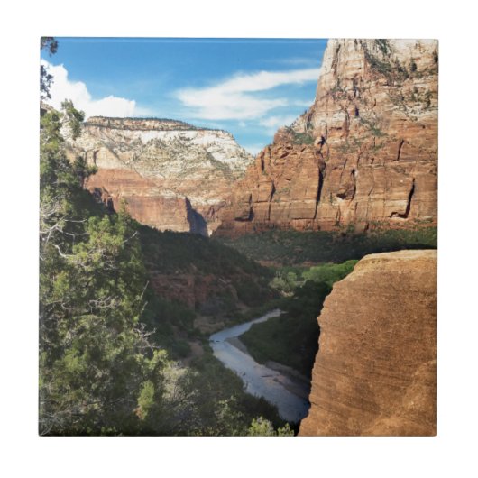 ザヴァージンリバーインジオンキャニオン タイル (正面)