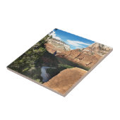 ザヴァージンリバーインジオンキャニオン タイル (側面)