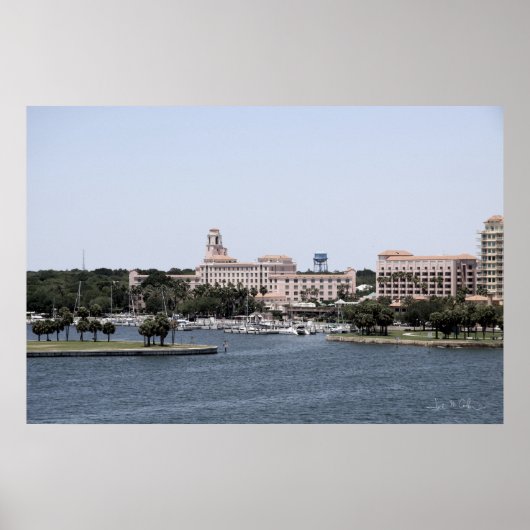 ザヴィノイ ポスター (正面)