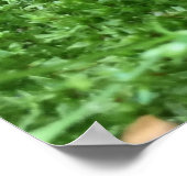 ザヴィンテージガーデン格言 ポスター (角)