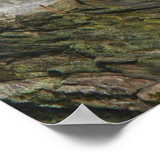 ザ山ラシュモア大統領のモニュメント ポスター (角)