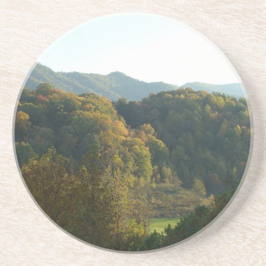 ザ平和的な渓谷コースター コースター (正面)