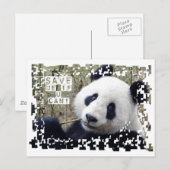 ザ救ジャイアントパンダ ポストカード (正面/裏面)