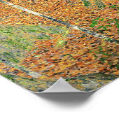 ザ樺の木ウッド, 1903 ポスター (角)