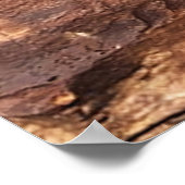 ザ狩り素晴らしパネルピクトグラフ9 Mile Canyon Utah ポスター (角)