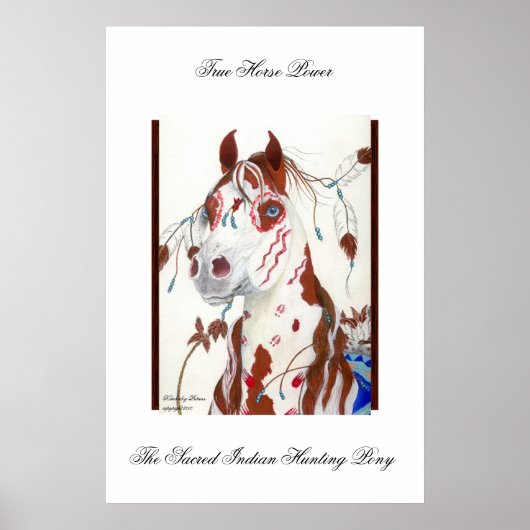 ザ神聖インディアン狩りポニー ポスター (正面)