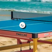 ザ素晴らしウェーブア日本のート 卓球ボール