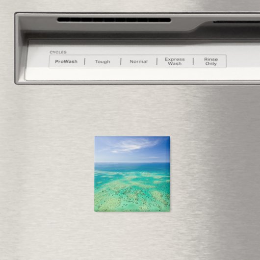 ザ素晴らしバリアリーフ、グリーンの空中表示2 マグネット (インサイチュ (食洗機))