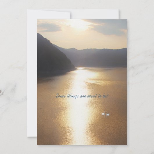 ザ結婚ズ 招待状 (裏面)