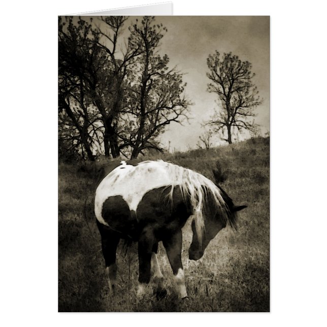 ザ絵を描 (正面)