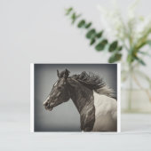 ザ絵を描 ポストカード (スタンド正面)