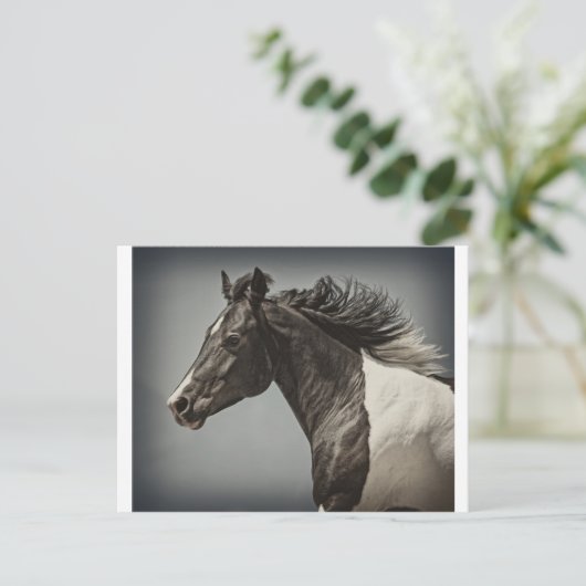 ザ絵を描 ポストカード (スタンド正面)