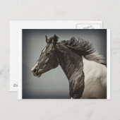 ザ絵を描 ポストカード (正面/裏面)