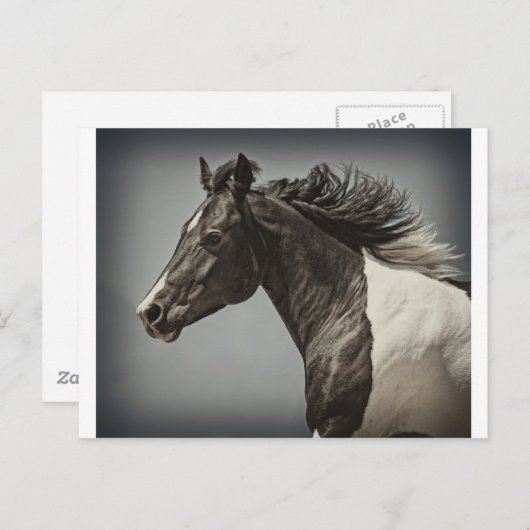 ザ絵を描 ポストカード (正面/裏面)