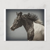 ザ絵を描 ポストカード (正面)