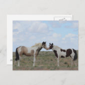 ザ絵を描 ポストカード (正面/裏面)