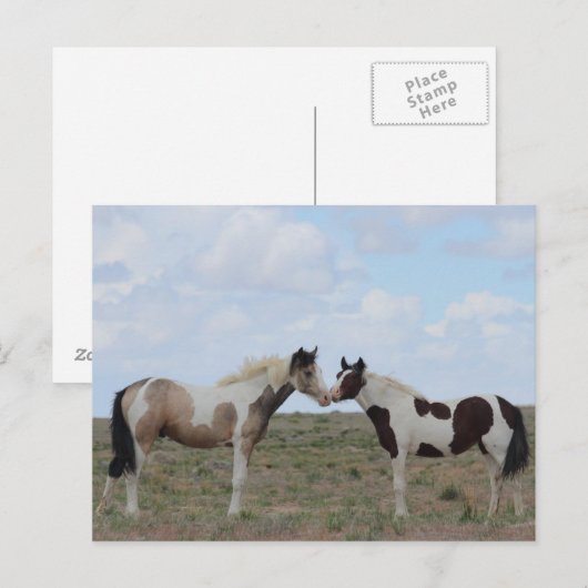 ザ絵を描 ポストカード (正面/裏面)