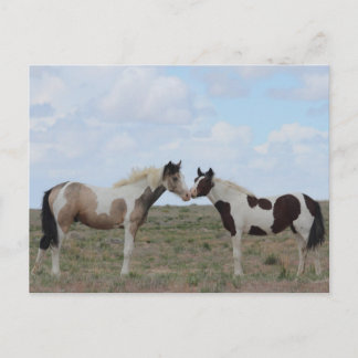 ザ絵を描 ポストカード