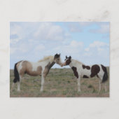 ザ絵を描 ポストカード (正面)