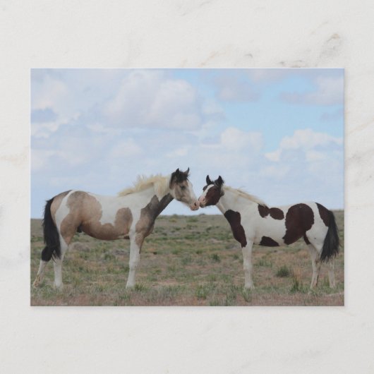 ザ絵を描 ポストカード (正面)