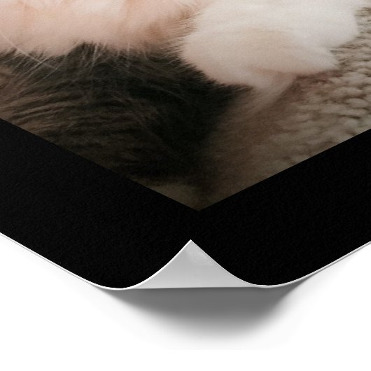 ザ聞ポスター ポスター (角)