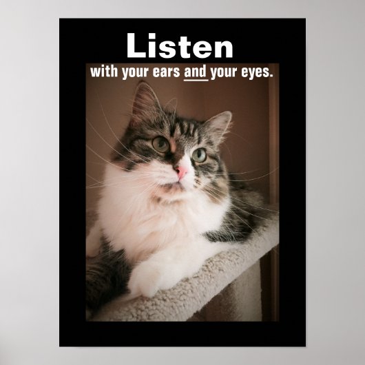 ザ聞ポスター ポスター (正面)