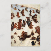 ザ虎猫トボガンクラブバイルイウィリアムワイン エンクロージャーカード (正面)