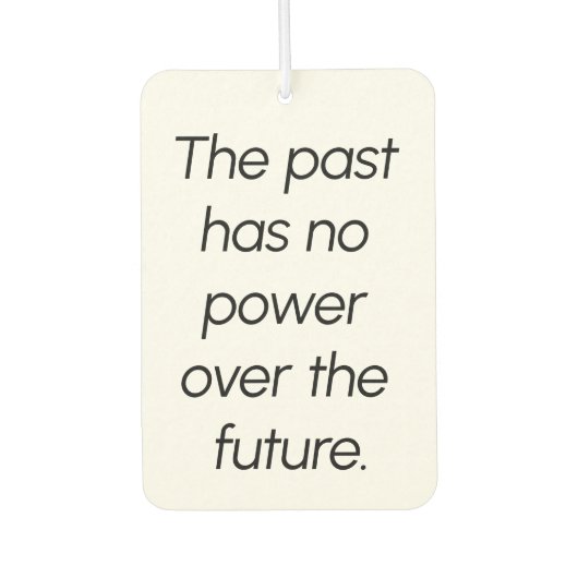 ザ過去空気清浄機 カーエアーフレッシュナー (正面)