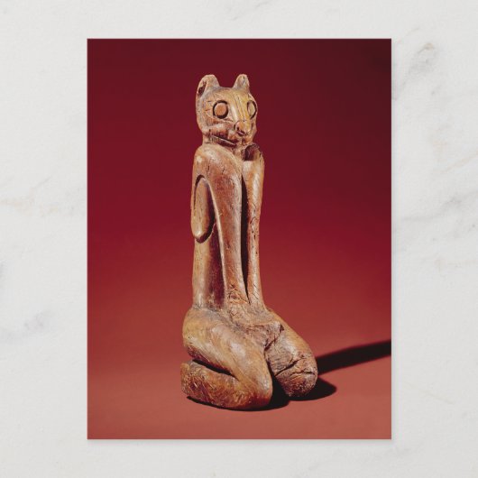 ザ鍵マルコキャット、フロリダ出身 ポストカード (正面)