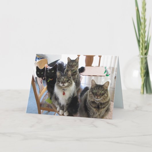 ザ集団ジェットウェルカード カード (正面)