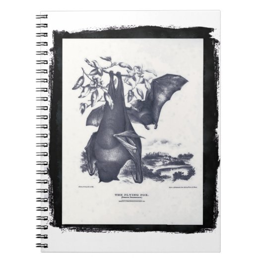 ザ飛んでいるキツネ ノートブック (正面)