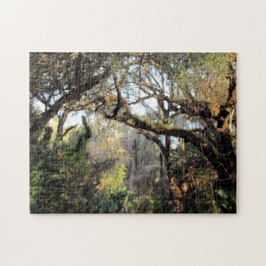 ザ魔法フォレストパズル ジグソーパズル (横)