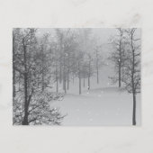 ザ魔法ホリディハガキ シーズンポストカード (正面)