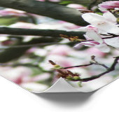 ザ4 Seasons-春ポスター ポスター (角)