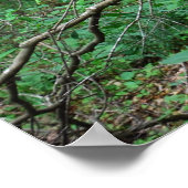 ザ・アウトハウスのポスター ポスター (角)