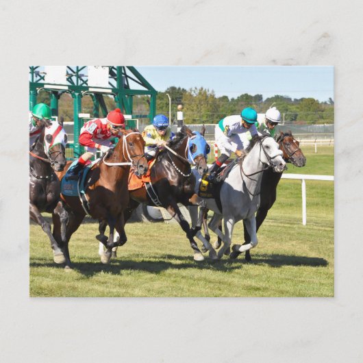 ザ・アルファベットスープ2017 ポストカード (正面)