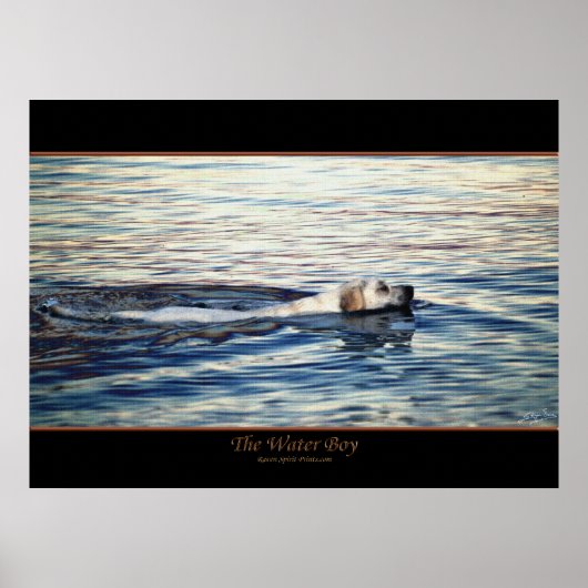 ザ・ウォーター・ボーイ・ドッグ・アート・ポスター ポスター (正面)
