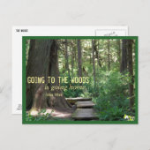 ザ・ウッズ（オリンピックJP） ポストカード (正面/裏面)