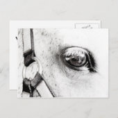 ザ・ウマズソウル ポストカード (正面/裏面)