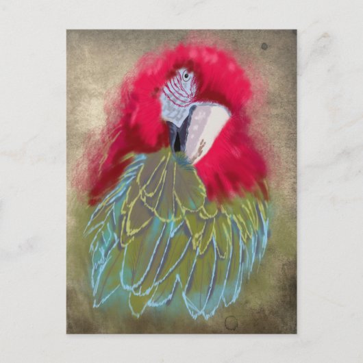 ザ・オウム – ポストカード (正面)