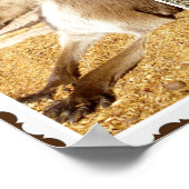 ザ・カンガルー写真コラージュ ポスター (角)