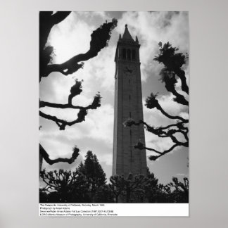 ザ・カンパニール, UC Berkeley, 1965 ポスター