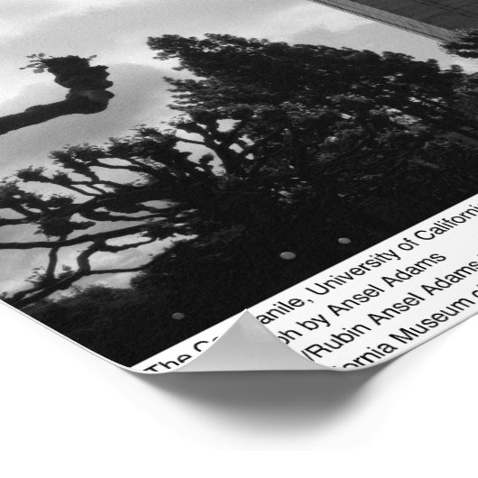 ザ・カンパニール， UC Berkeley, 1965 ポスター (角)