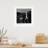 ザ・カンパニールfrom the Berkeley Hills, 1965 ポスター (キッチン)