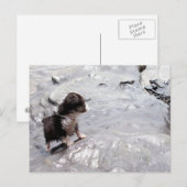 ザ・クライム・ハガキ ポストカード (正面/裏面)