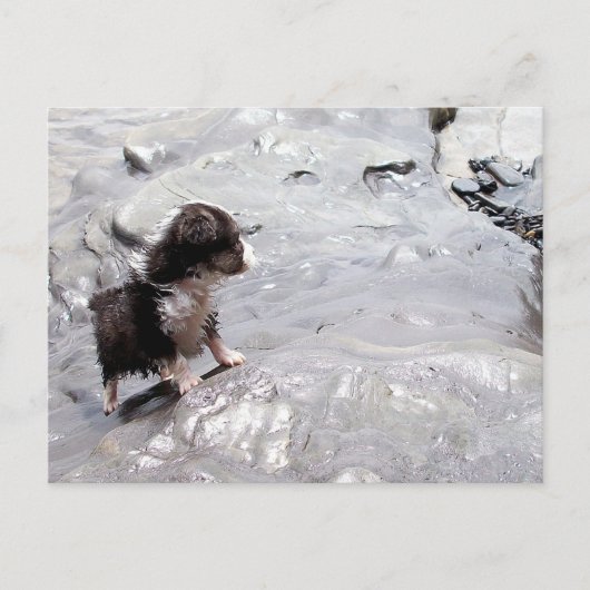 ザ・クライム・ハガキ ポストカード (正面)