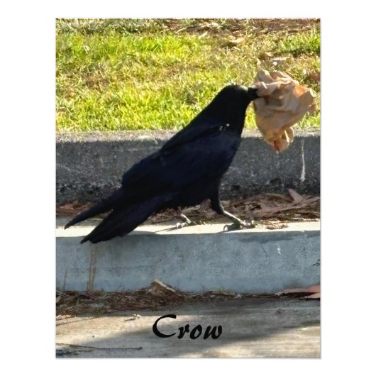 ザ・クロウ フォトプリント            (正面)