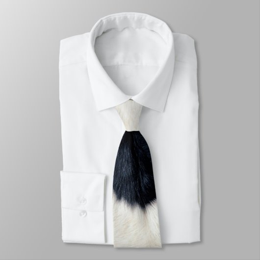 ザ·コウ·タン ネクタイ (タイ)